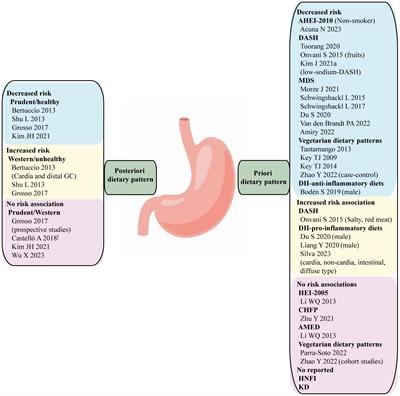 Review of dietary patterns and gastric cancer risk: epidemiology and biological evidence